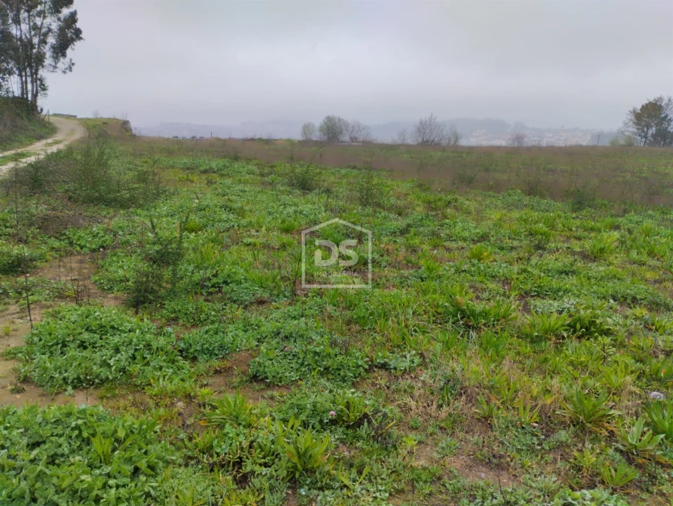 Terreno para Venda em Figueiró (Santiago e Santa Cristina) Foto 7