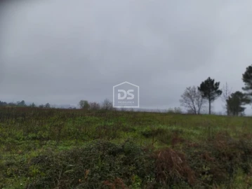Terreno para Venda em Figueiró (Santiago e Santa Cristina)