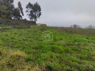 Terreno para Venda em Figueiró (Santiago e Santa Cristina)