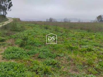 Terreno para Venda em Figueiró (Santiago e Santa Cristina)
