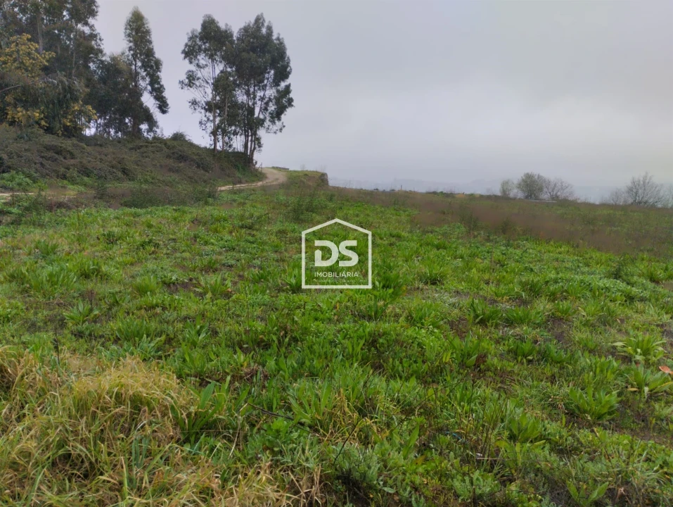 Terreno para Venda em Figueiró (Santiago e Santa Cristina) Foto 12