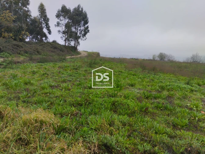 Terreno para Venda em Figueiró (Santiago e Santa Cristina) Foto 12