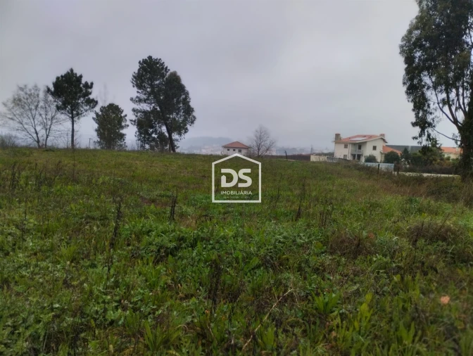 Terreno para Venda em Figueiró (Santiago e Santa Cristina) Foto 14