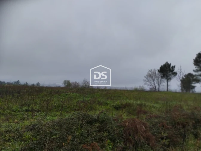 Terreno para Venda em Figueiró (Santiago e Santa Cristina) Foto 17