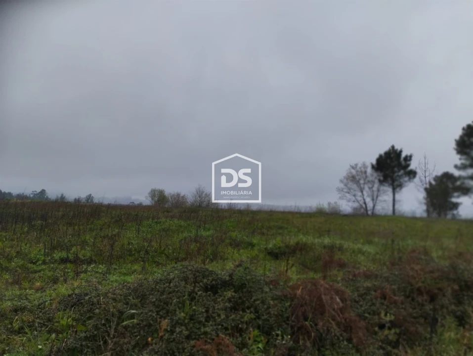 Terreno para Venda em Figueiró (Santiago e Santa Cristina) Foto 17