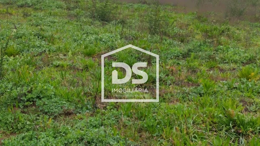 Terreno para Venda em Figueiró (Santiago e Santa Cristina)