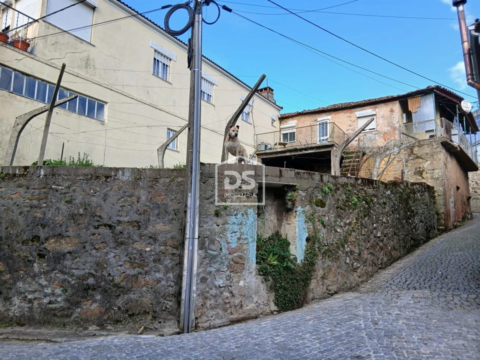 Moradia T3 para Venda em Armamar Foto 3