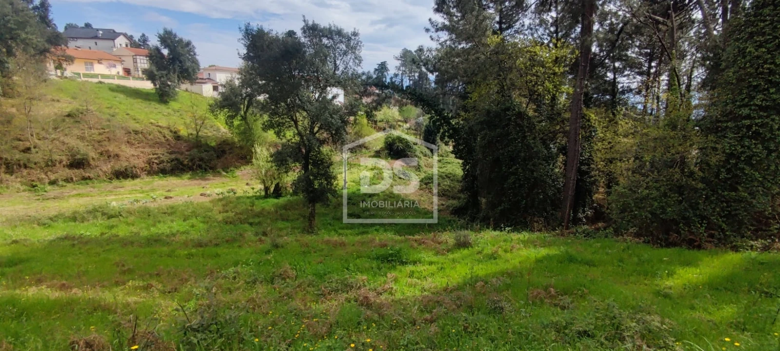 Terreno Agricola ou Rústico para Venda em Freixo de Cima e de Baixo Foto 6