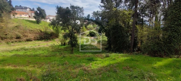 Terreno Agricola ou Rústico para Venda em Freixo de Cima e de Baixo