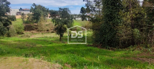 Terreno Agricola ou Rústico para Venda em Freixo de Cima e de Baixo