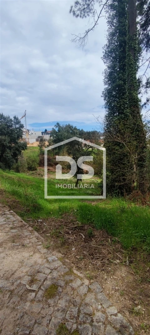 Terreno Agricola ou Rústico para Venda em Freixo de Cima e de Baixo