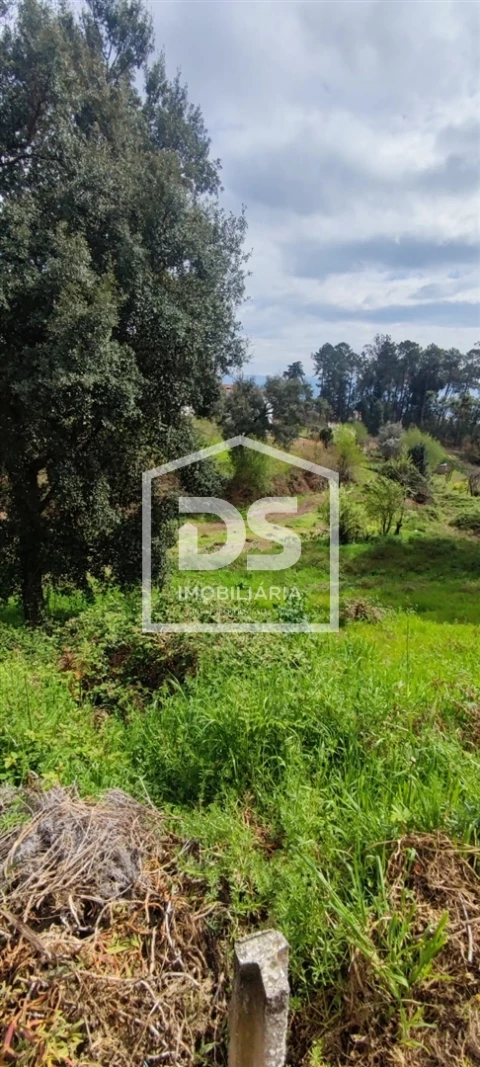 Terreno Agricola ou Rústico para Venda em Freixo de Cima e de Baixo