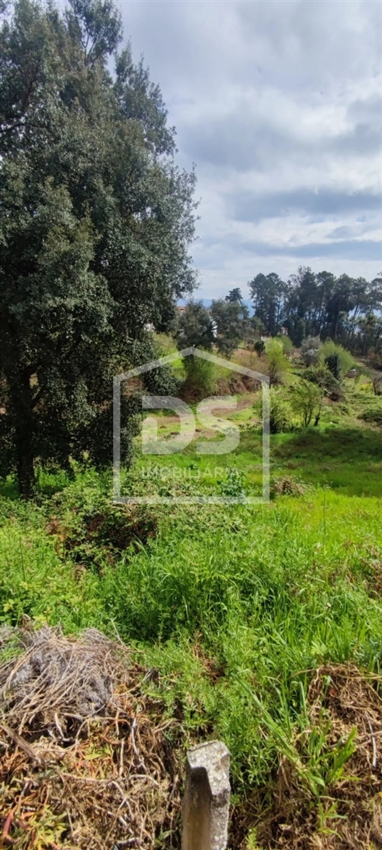 Terreno Agricola ou Rústico para Venda em Freixo de Cima e de Baixo Foto 9