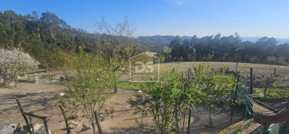 Moradia T6 para Venda em Mancelos