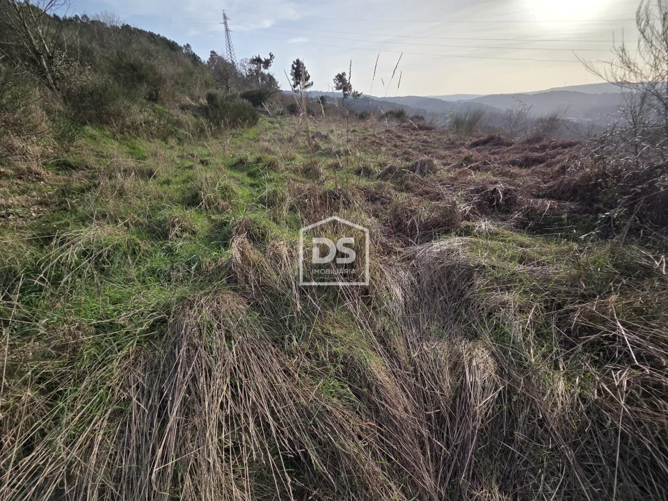 Terreno para Venda em Granja Nova e Vila Chã da Beira Foto 6