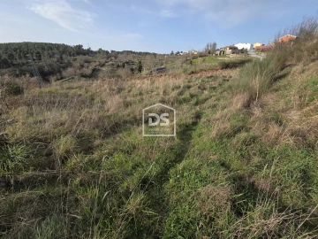 Terreno para Venda em Granja Nova e Vila Chã da Beira