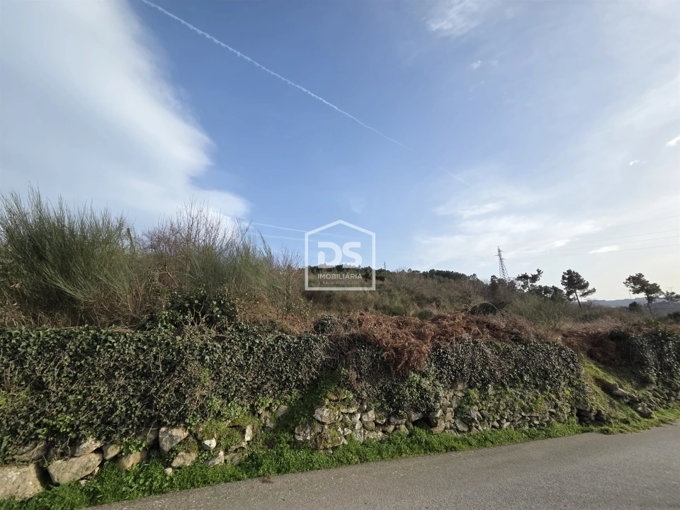 Terreno para Venda em Granja Nova e Vila Chã da Beira Foto 1
