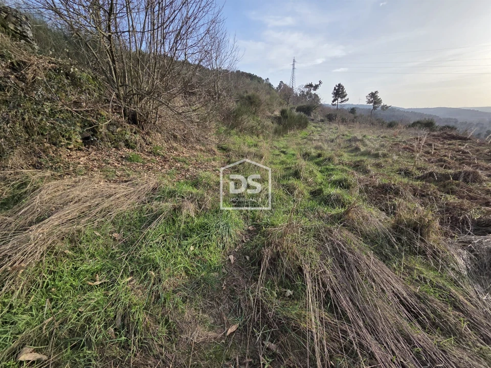 Terreno para Venda em Granja Nova e Vila Chã da Beira Foto 2