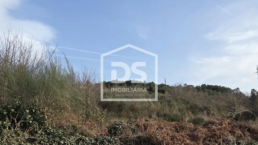 Terreno para Venda em Granja Nova e Vila Chã da Beira