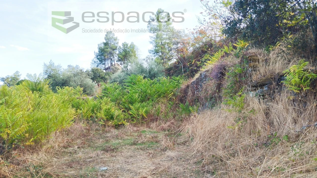 Terreno para Venda em Benquerenças Foto 1