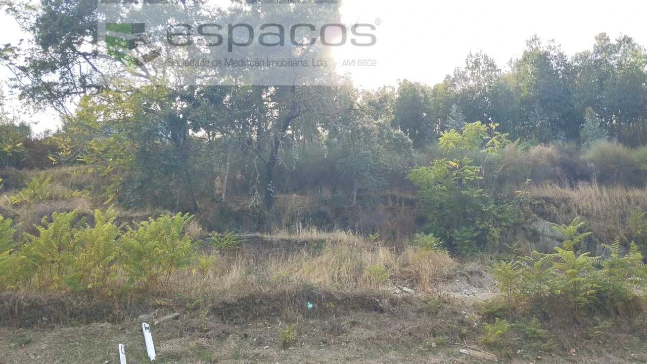 Terreno para Venda em Benquerenças Foto 3