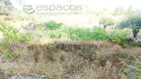 Terreno para Venda em Benquerenças
