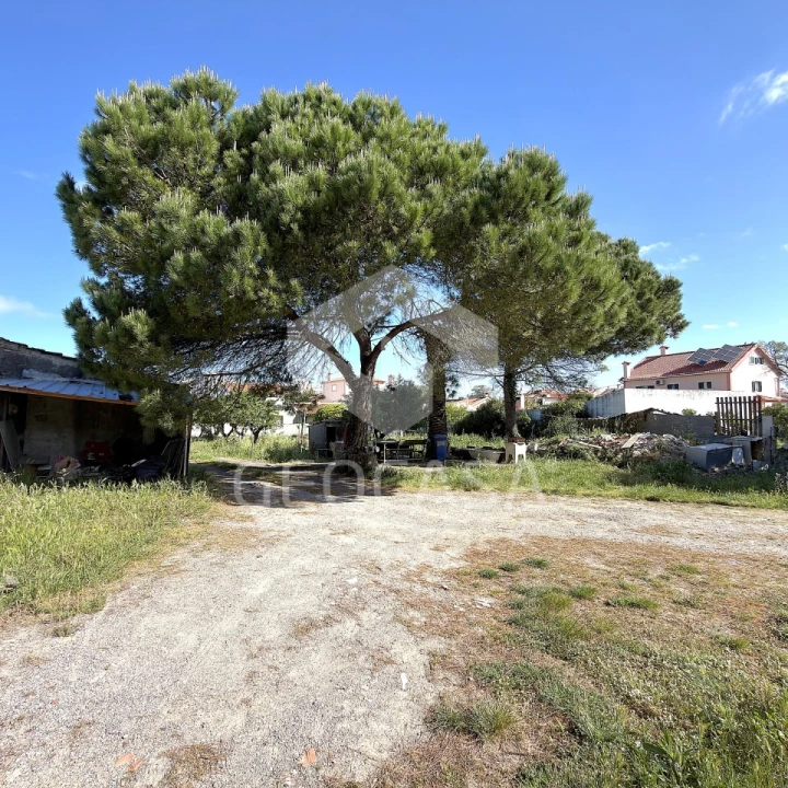 Terreno para Venda em Algueirão-Mem Martins Foto 6