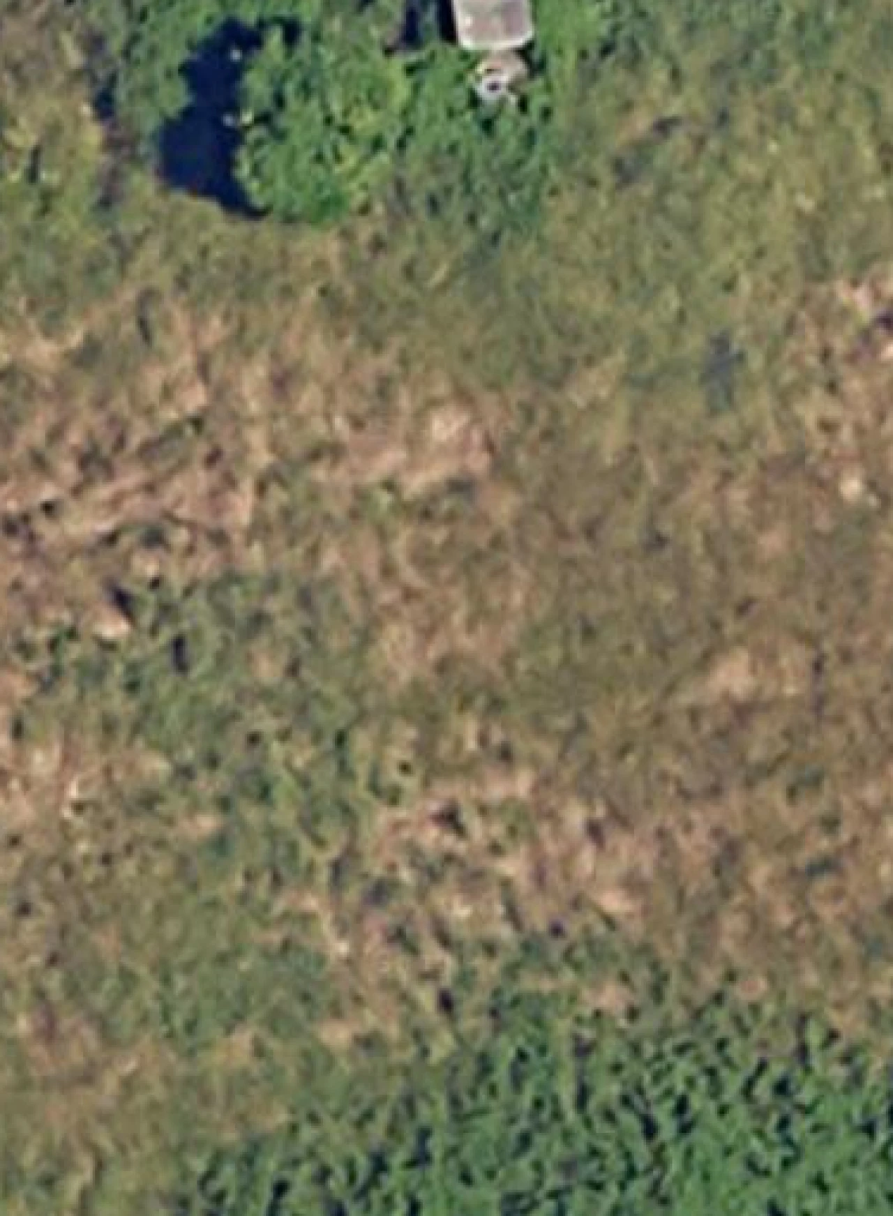 Terreno para Venda em Cidade da Maia Foto 1