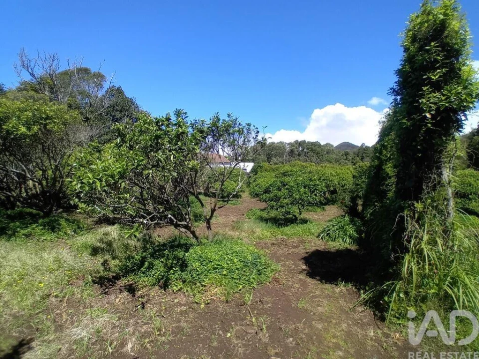 Terreno para Venda em Lagoa (Nossa Senhora do Rosario) Foto 4
