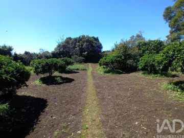 Terreno para Venda em Lagoa (Nossa Senhora do Rosario)