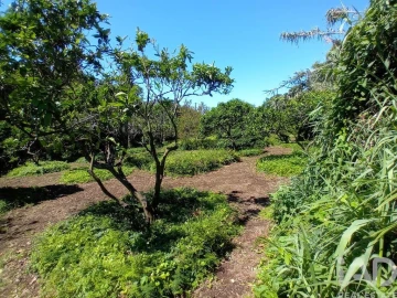 Terreno para Venda em Lagoa (Nossa Senhora do Rosario)