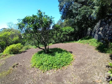 Terreno para Venda em Lagoa (Nossa Senhora do Rosario)
