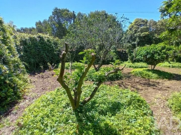 Terreno para Venda em Lagoa (Nossa Senhora do Rosario)