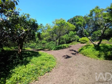 Terreno para Venda em Lagoa (Nossa Senhora do Rosario)