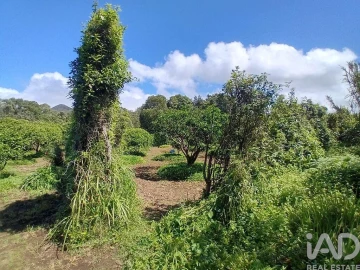 Terreno para Venda em Lagoa (Nossa Senhora do Rosario)