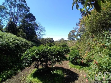 Terreno para Venda em Lagoa (Nossa Senhora do Rosario)