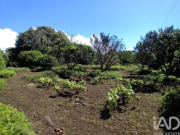 Terreno para Venda em Lagoa (Nossa Senhora do Rosario)