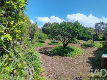 Terreno para Venda em Lagoa (Nossa Senhora do Rosario)