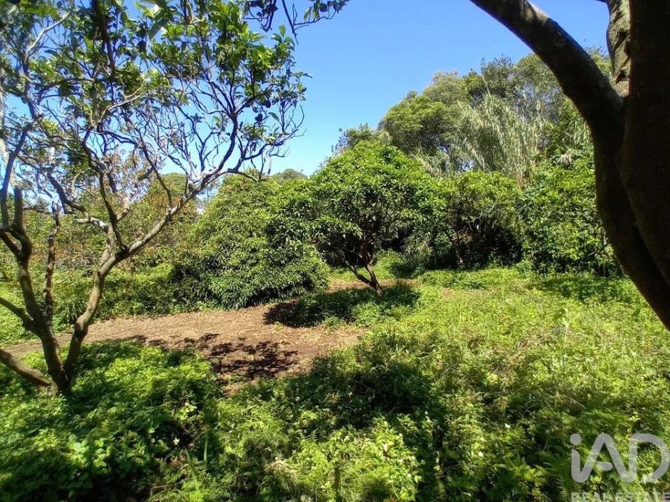Terreno para Venda em Lagoa (Nossa Senhora do Rosario) Foto 17