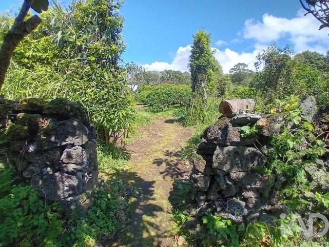 Terreno para Venda em Lagoa (Nossa Senhora do Rosario) Foto 3