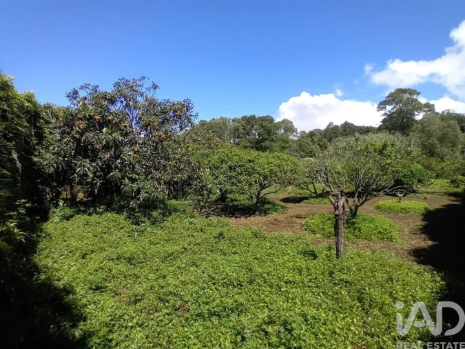 Terreno para Venda em Lagoa (Nossa Senhora do Rosario) Foto 6
