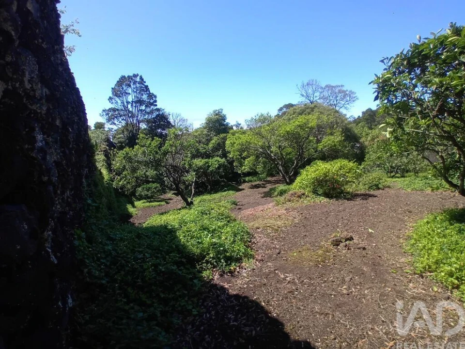 Terreno para Venda em Lagoa (Nossa Senhora do Rosario) Foto 9