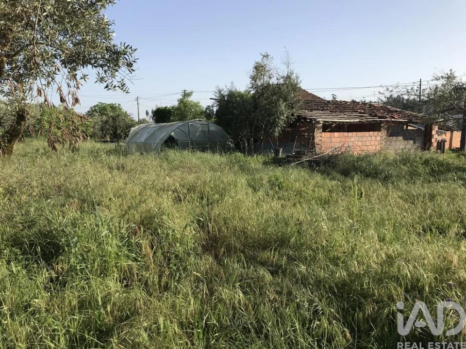 Moradia T5 para Venda em Freixianda, Ribeira do Fárrio e Formigais Foto 6