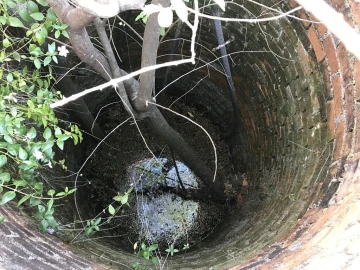 Moradia T5 para Venda em Freixianda, Ribeira do Fárrio e Formigais