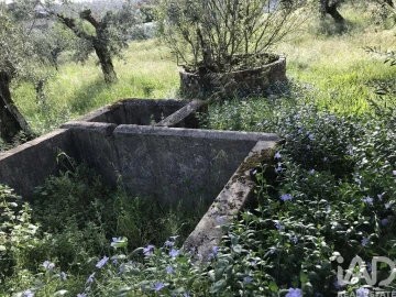 Moradia T5 para Venda em Freixianda, Ribeira do Fárrio e Formigais