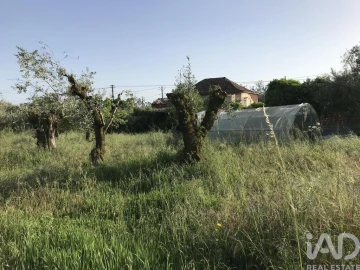 Moradia T5 para Venda em Freixianda, Ribeira do Fárrio e Formigais