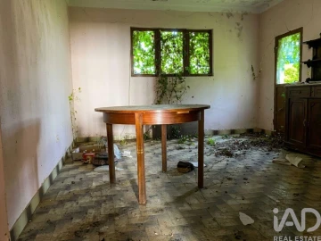 Moradia T5 para Venda em Freixianda, Ribeira do Fárrio e Formigais