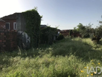 Moradia T5 para Venda em Freixianda, Ribeira do Fárrio e Formigais