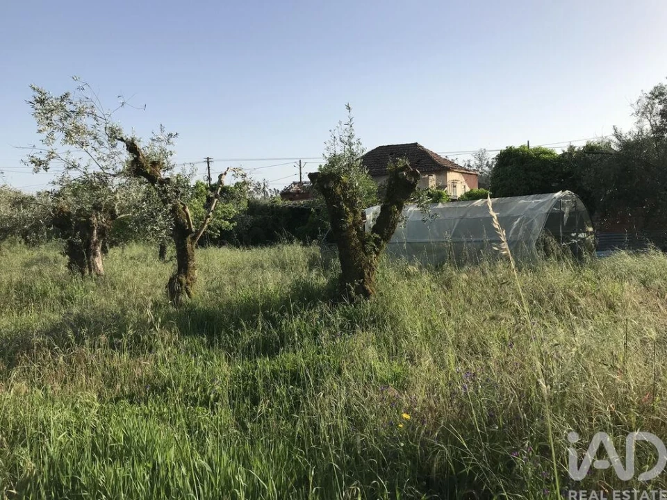 Moradia T5 para Venda em Freixianda, Ribeira do Fárrio e Formigais Foto 12