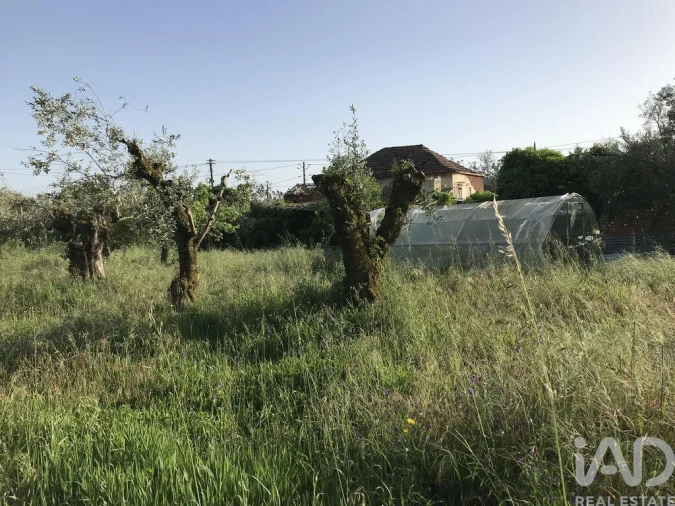 Moradia T5 para Venda em Freixianda, Ribeira do Fárrio e Formigais Foto 12